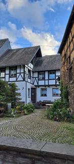 Vacances dans la région de la Moselle in Wintrich, Vacances, Propriétaire, Village, Maison de campagne ou Villa, Lave-vaisselle