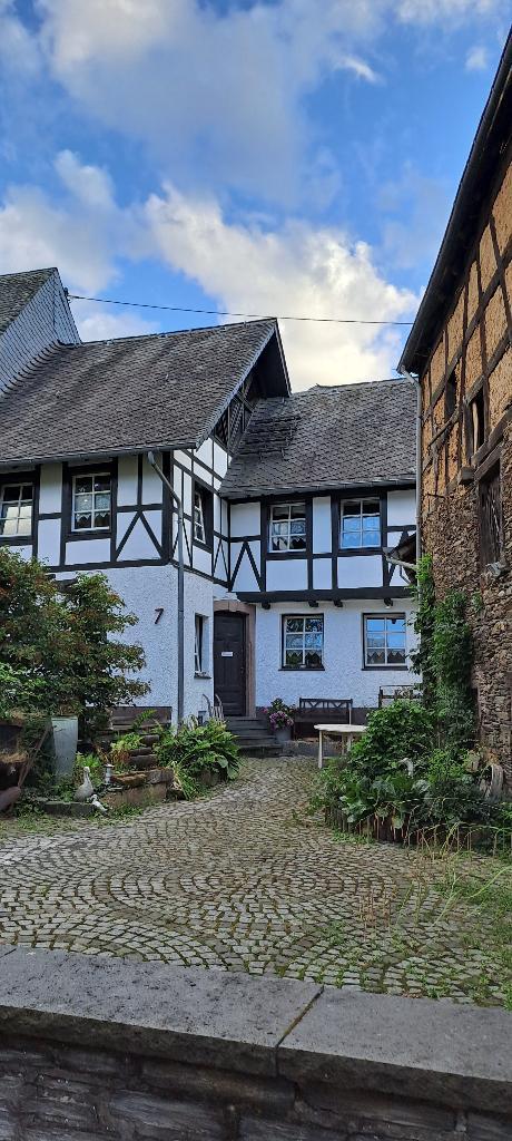 Vakantie in de Moezelstreek,Wintrich vlakbij Bernkastel-Kues, Vakantie, Vakantiehuizen | Duitsland, Moezel, Landhuis of Villa