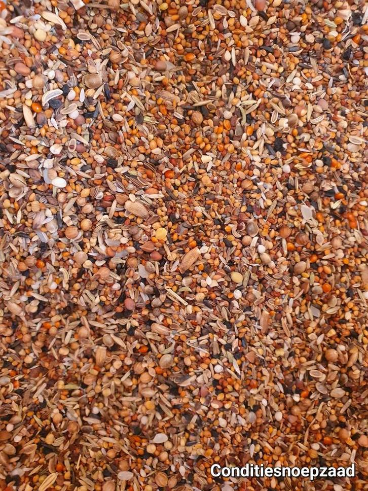 Conditiesnoepzaad 1kg ( 45 verschillende zaden ), Dieren en Toebehoren, Vogels | Toebehoren, Nieuw, Ophalen