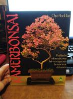 Kamerbonsai. Groenboekerij., Ophalen of Verzenden, Kamerplanten, Zo goed als nieuw, Chye Hock Tan