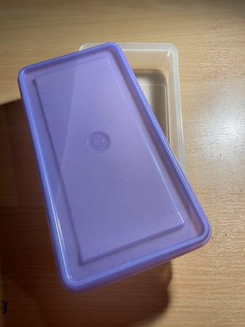 Grand Tupperware rectangle 