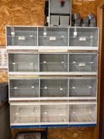 Cage preparation en bois canaris, Animaux & Accessoires, Oiseaux | Cages & Volières, Enlèvement, Comme neuf, Bois