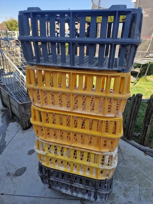 Transportkisten pluimvee, Dieren en Toebehoren, Overige Dieren-accessoires, Gebruikt, Ophalen