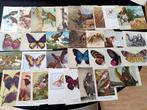 66  fantasie dieren, Collections, Cartes postales | Thème, Enlèvement ou Envoi