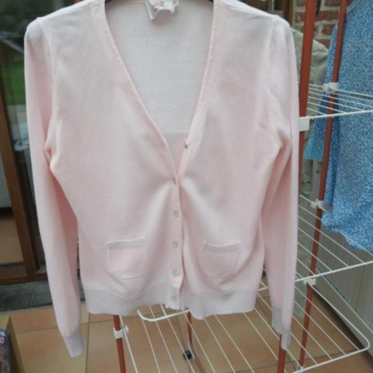 Gileetje roze lurex onderaan Thelma&Louise mt L, Kleding | Dames, Truien en Vesten, Zo goed als nieuw, Maat 38/40 (M), Roze, Ophalen of Verzenden