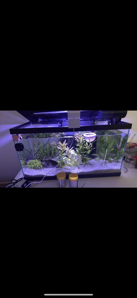 Aquarium NIEUW 1 week oud + alles!! Beschrijving 68L, Dieren en Toebehoren, Vissen | Aquaria en Toebehoren, Nieuw, Ophalen