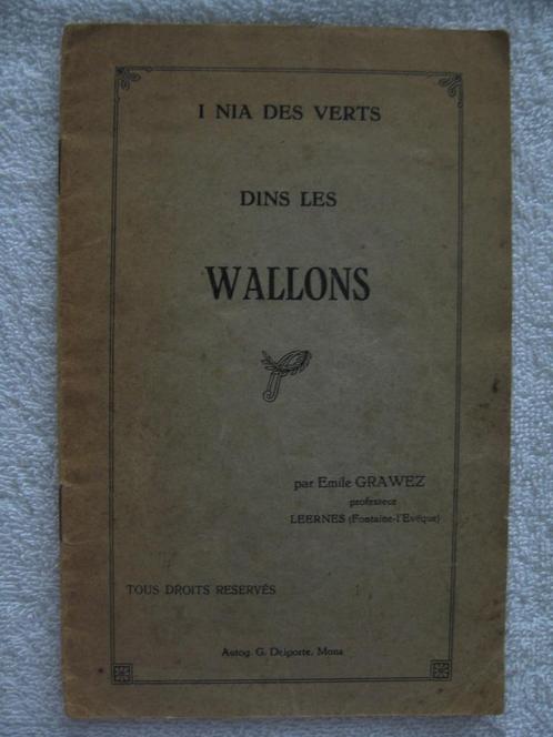 Fontaine-l’Evêque Leernes – Emile Grawez - 1920, Boeken, Geschiedenis | Nationaal, Gelezen, Ophalen of Verzenden