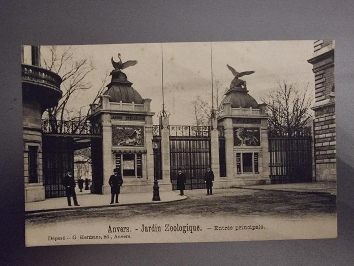 Carte postale Anvers - Jardin zoologique - 1906-1908, Verzamelen, Postkaarten | België, Gelopen, Antwerpen, Voor 1920, Ophalen of Verzenden