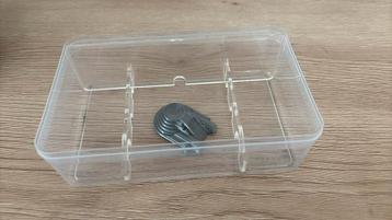 Mierenboerderij 175x110xh75mm beschikbaar voor biedingen