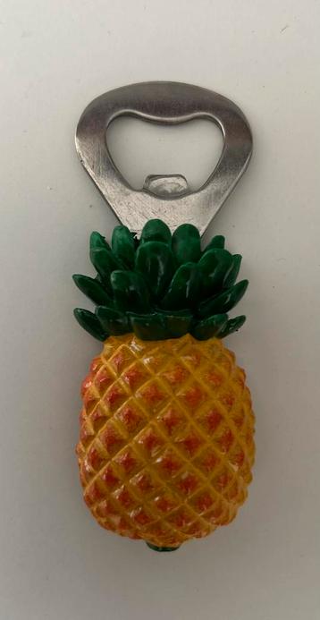 Flesopener ananas magneet beschikbaar voor biedingen