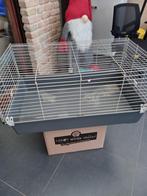 Grande cage "Tom & co",bon état, Dieren en Toebehoren, Ophalen, Gebruikt, Kooi