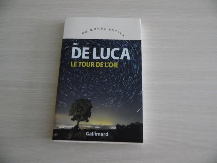 LE TOUR DE L'OIE        ERRI DE LUCA, Boeken, Romans, Zo goed als nieuw, Europa overig, Ophalen of Verzenden