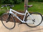 Dames koersfiets, Fietsen en Brommers, 28 inch, Zo goed als nieuw, 15 tot 20 versnellingen, 50 tot 53 cm