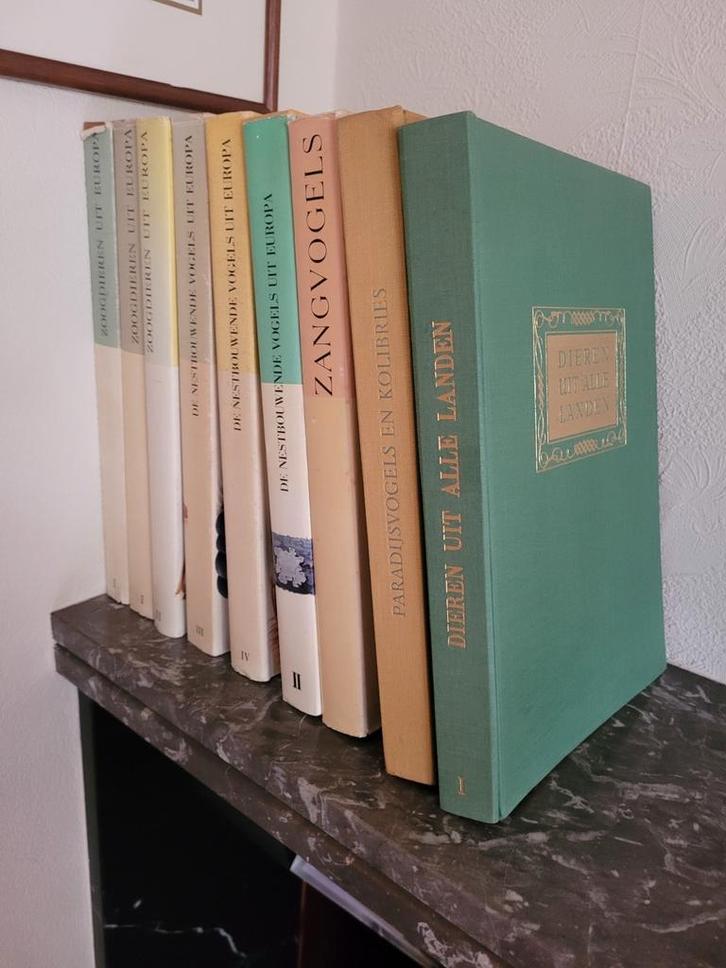 Oude Artis Historia boeken, Boeken, Prentenboeken en Plaatjesalbums, Gelezen, Prentenboek, Ophalen