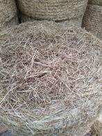 Midi balen hooi, Animaux & Accessoires, Nourriture pour Animaux, Enlèvement, Autres espèces