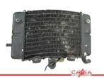 RADIATEUR Honda XL 600 V Transalp 1991-1993 (XL600V PD06), Motoren, Gebruikt