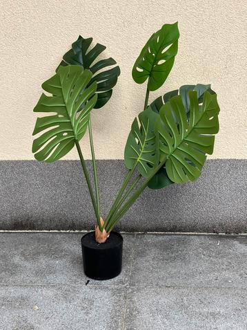 Kunstplant monstera hoogte 90 cm 7 grote bladeren beschikbaar voor biedingen
