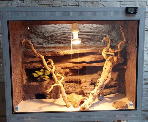 Terrarium voor baardagaam, Dieren en Toebehoren, Reptielen en Amfibieën | Toebehoren, Zo goed als nieuw, Ophalen