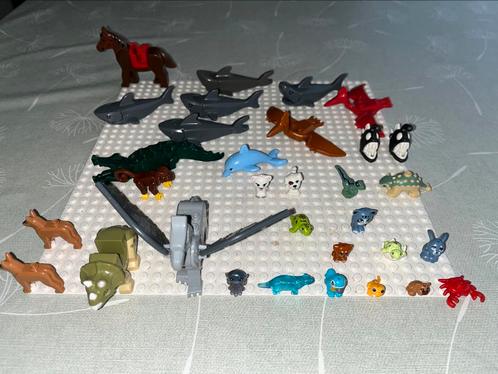 Lego dieren (haaien - krokodil - dino - dolfijn ...), Kinderen en Baby's, Speelgoed | Duplo en Lego, Zo goed als nieuw, Lego, Ophalen of Verzenden
