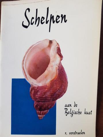 boekje over schelpen aan onze Belgische kust beschikbaar voor biedingen
