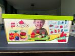 Duplo picknick 10566, Ophalen of Verzenden, Gebruikt, Complete set, Duplo