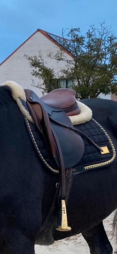 Selle Cwd à vendre, Animaux & Accessoires, Chevaux & Poneys | Selles, Utilisé, Obstacle, Enlèvement ou Envoi