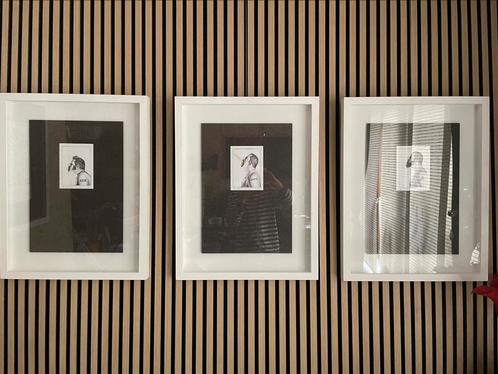 Jan Fabre, Antiek en Kunst, Kunst | Litho's en Zeefdrukken, Ophalen