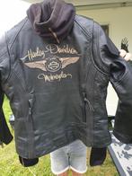 Harley Davidson dames vest, Motoren, Kleding | Motorkleding, Jas | leer, Harley davidson, Dames, Tweedehands