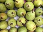 PEREN, Ophalen