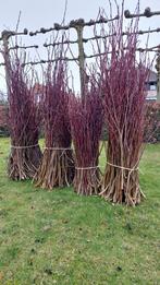 Snoeihout leilinde gratis, Ophalen