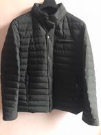 Te koop GEWATTEERDE JAS VOOR HEREN, Nieuw