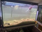 Aquarium 150L, Ophalen, Zo goed als nieuw