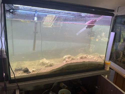 Aquarium 150L, Dieren en Toebehoren, Vissen | Aquaria en Toebehoren, Zo goed als nieuw, Ophalen