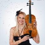 Viool 4/4 incl. vioolkist strijkstok NIEUW, Ophalen, Nieuw