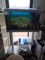 Aquarium 100 liter +filter +kast, Dieren en Toebehoren, Vissen | Aquaria en Toebehoren, Ophalen of Verzenden, Zo goed als nieuw