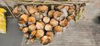 Brandhout hazelaar + 6 zakken met fijner hout, Ophalen