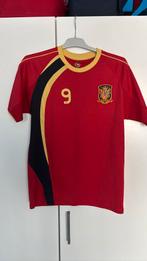 Spanje Fernando Torres shirt, Ophalen of Verzenden, Gebruikt, Shirt