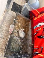 Cage pour lapin, Animaux & Accessoires, Enlèvement, Comme neuf, Cage, Lapin