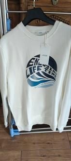 Sweaters, Kleding | Heren, Ophalen, Zo goed als nieuw, Maat 46 (S) of kleiner