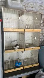 Cages, Animaux & Accessoires, Enlèvement, Comme neuf