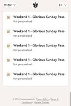 5 tickets tomorrowland glorious sunday weekend 1, Tickets en Kaartjes, Drie personen of meer