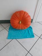 Pompoen, Diversen, Levensmiddelen, Ophalen