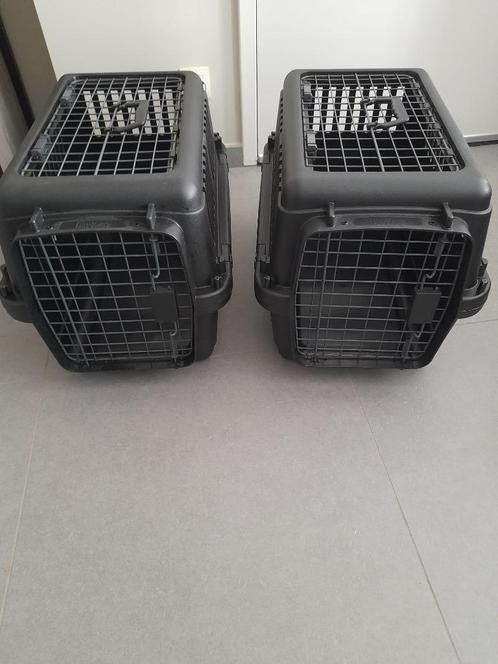 Vervoersbox voor Katten (2 stuks), Dieren en Toebehoren, Katten-accessoires, Zo goed als nieuw, Ophalen