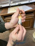 Mooie kruisers kleine distelvink x kanarie, Dieren en Toebehoren, Vogels | Overige Vogels, Mannelijk, Wildzangvogel, Geringd