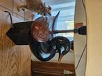 Lampes, Ophalen, Gebruikt, Minder dan 100 cm