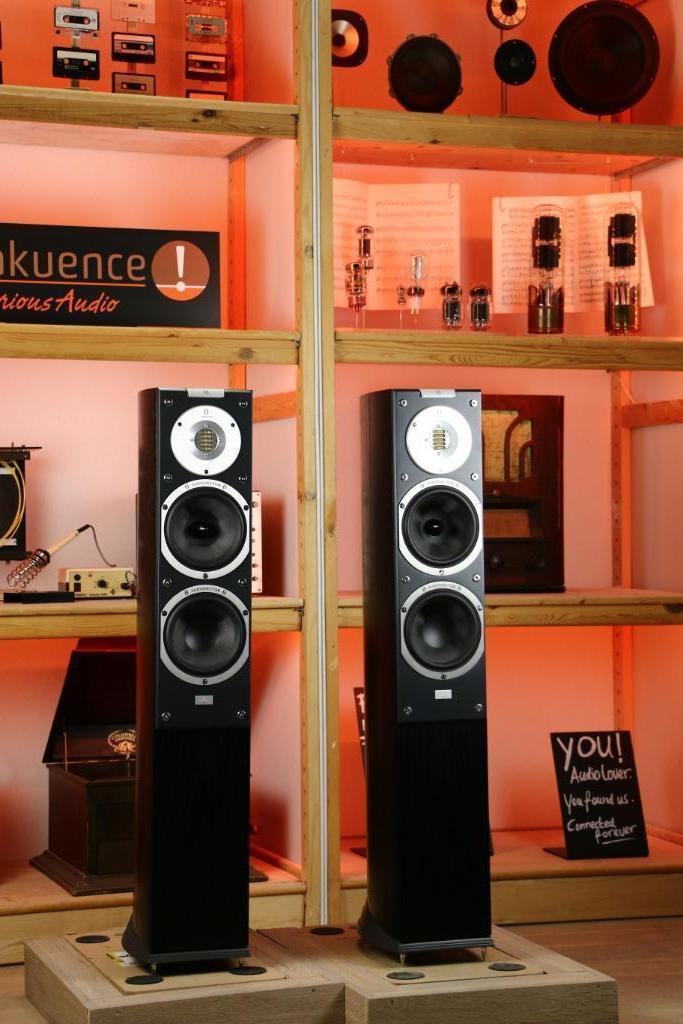 Audiovector SR 3 / SR3 Avantgarde TRADE.INRUIL Ribbon* Nice!, Audio, Tv en Foto, Luidsprekerboxen, Zo goed als nieuw, Front, Rear of Stereo speakers