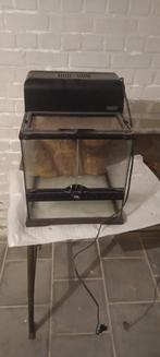 Exo Terra Terrarium en Verre 30x30x30cm, Enlèvement