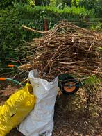 Gratis hout, Tuin en Terras, Brandhout, Ophalen