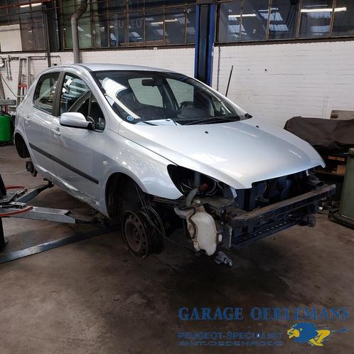 peugeot 307 1.6 16v voor onderdelen, Auto-onderdelen, Overige Auto-onderdelen, Peugeot, Gebruikt, ARN erkend, Ophalen of Verzenden