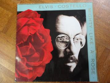 Elvis Costello beschikbaar voor biedingen